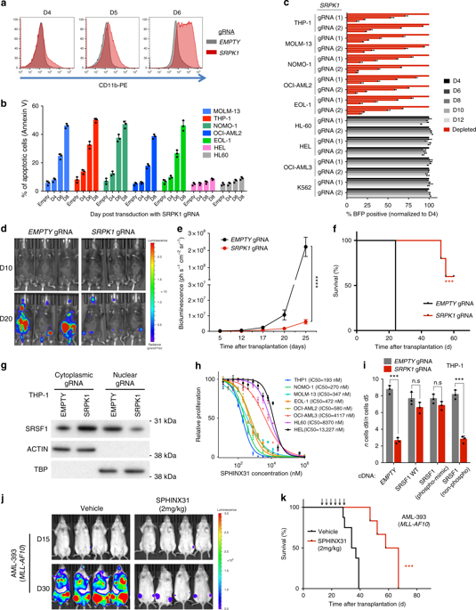 Θεραπεία,Λευχαιμία,Ελληνες,ερευνητές,Οφθαλμικό Κολλύριο,Cambrige