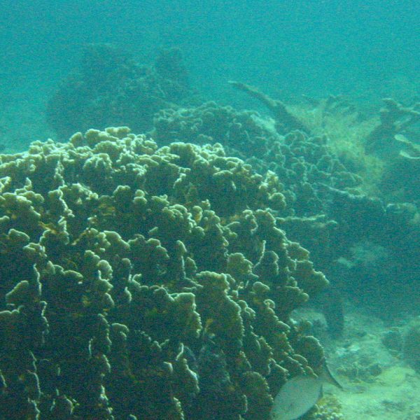 Τι κρύβουν οι πυραμίδες γιγαντιαίων διαστάσεων στο βυθό της Κούβας;AllTimeClassic