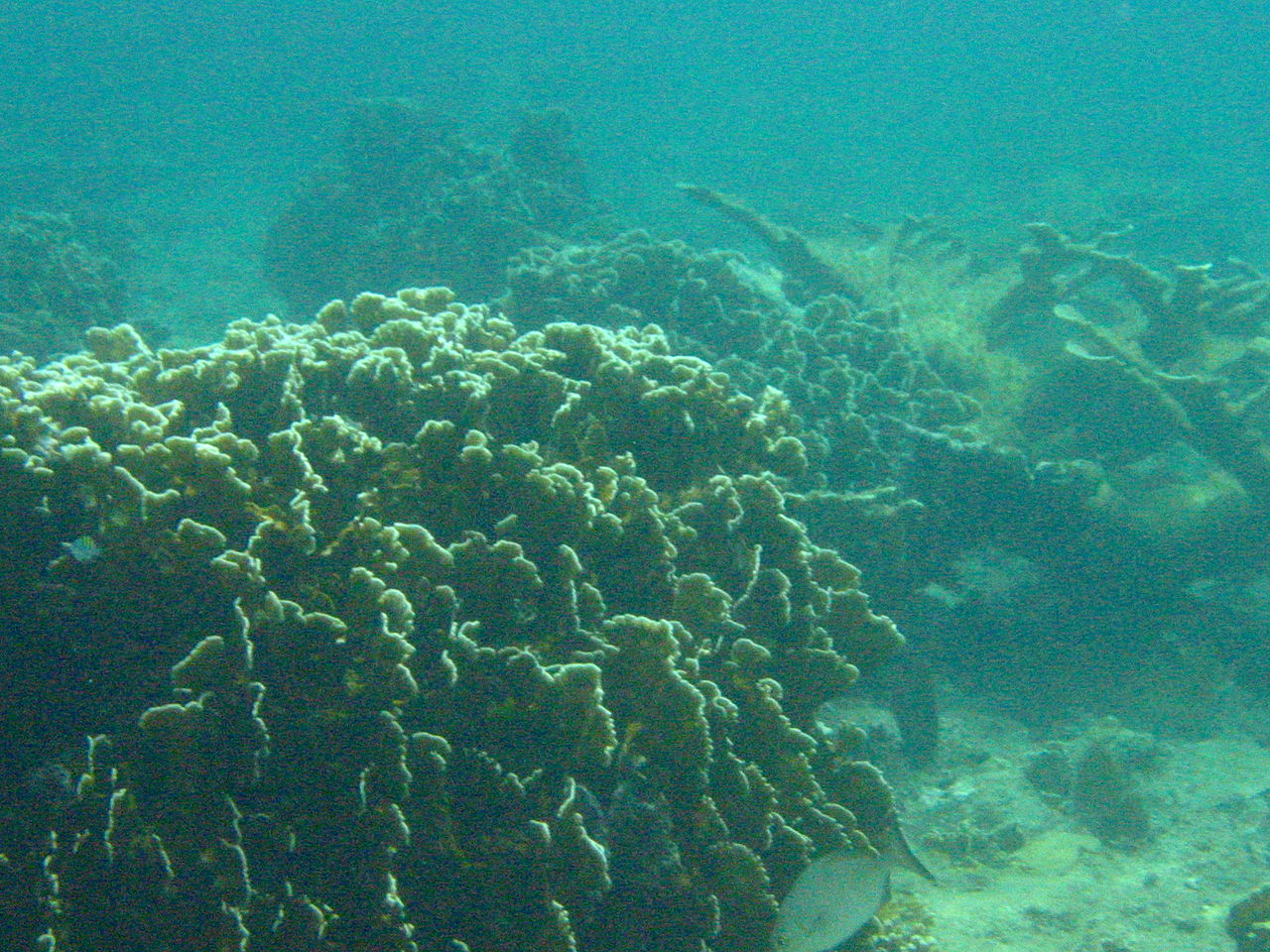 Τι κρύβουν οι πυραμίδες γιγαντιαίων διαστάσεων στο βυθό της Κούβας;AllTimeClassic